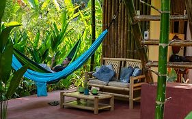 Water To Forest Ecolodge